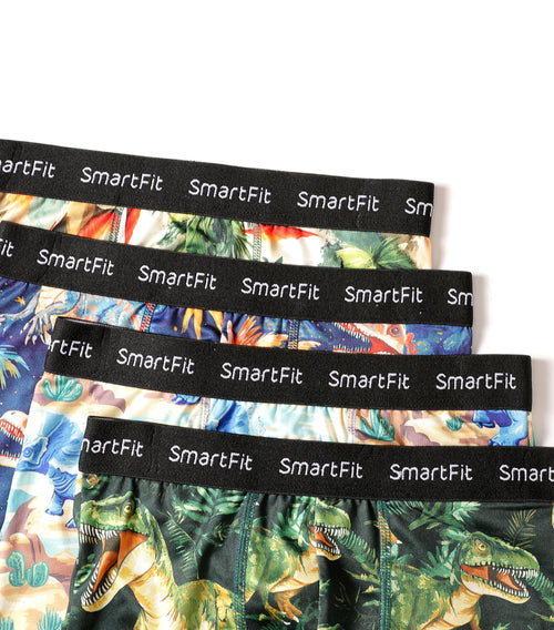 SF SmartFit Boys 4 Pack Boxer Briefs (Dinosaur)